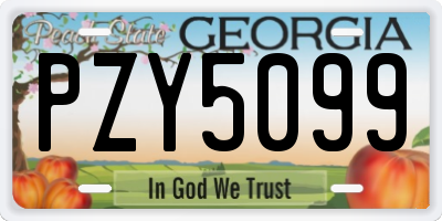 GA license plate PZY5099