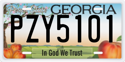 GA license plate PZY5101