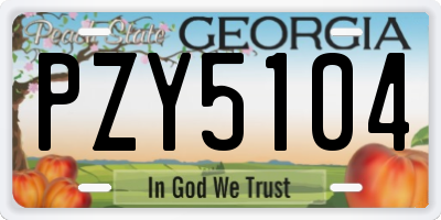GA license plate PZY5104