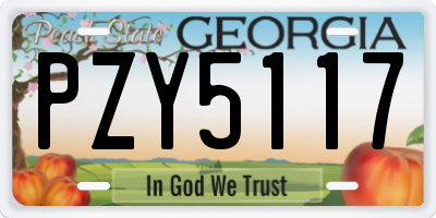 GA license plate PZY5117