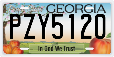 GA license plate PZY5120