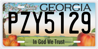 GA license plate PZY5129