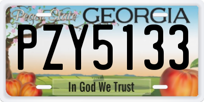 GA license plate PZY5133