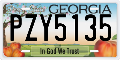 GA license plate PZY5135