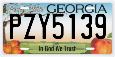 GA license plate PZY5139
