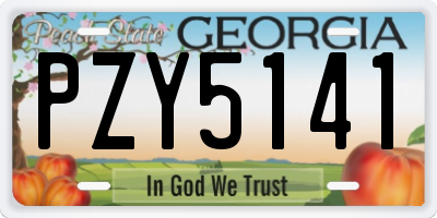 GA license plate PZY5141