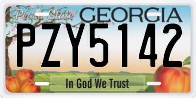 GA license plate PZY5142