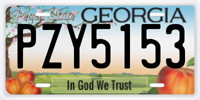GA license plate PZY5153