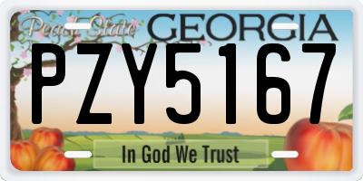 GA license plate PZY5167
