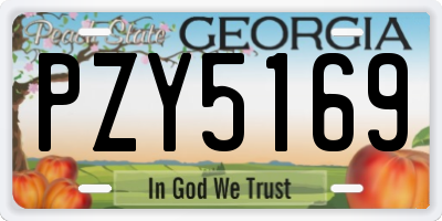 GA license plate PZY5169
