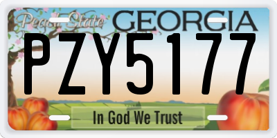 GA license plate PZY5177