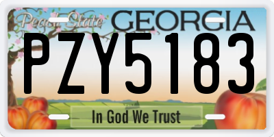 GA license plate PZY5183