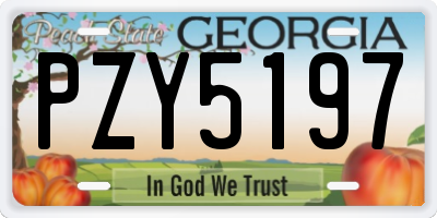 GA license plate PZY5197