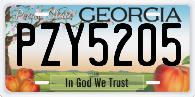 GA license plate PZY5205