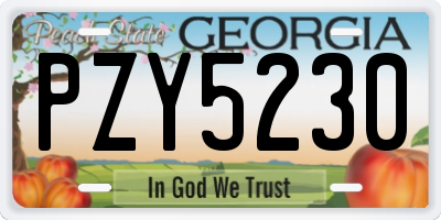 GA license plate PZY5230