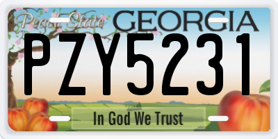 GA license plate PZY5231