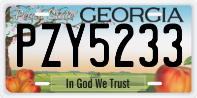 GA license plate PZY5233