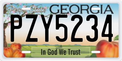 GA license plate PZY5234