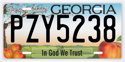 GA license plate PZY5238