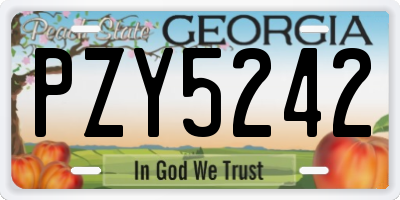 GA license plate PZY5242
