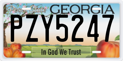 GA license plate PZY5247