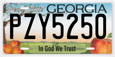 GA license plate PZY5250