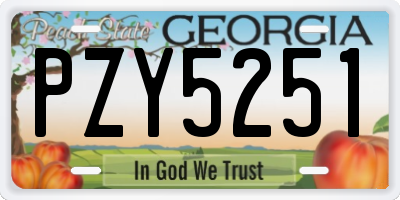 GA license plate PZY5251