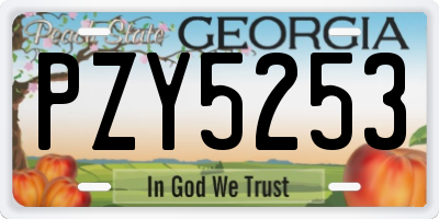 GA license plate PZY5253