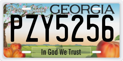GA license plate PZY5256