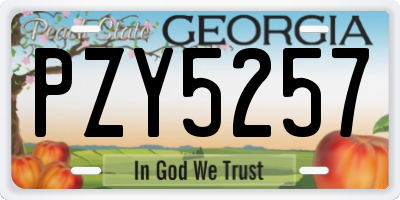 GA license plate PZY5257