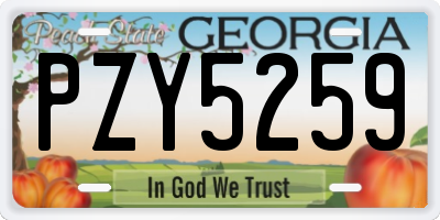 GA license plate PZY5259