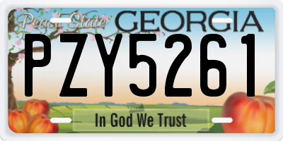 GA license plate PZY5261