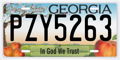 GA license plate PZY5263