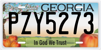 GA license plate PZY5273