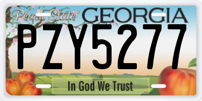 GA license plate PZY5277
