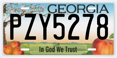GA license plate PZY5278
