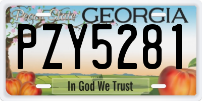 GA license plate PZY5281