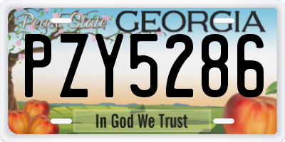 GA license plate PZY5286