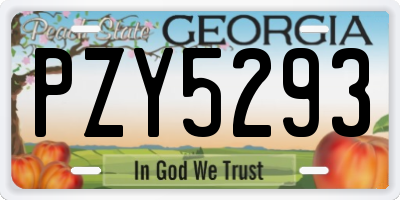 GA license plate PZY5293