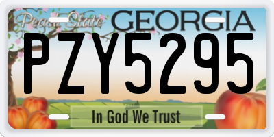 GA license plate PZY5295