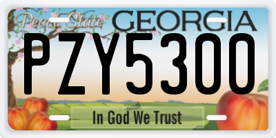 GA license plate PZY5300