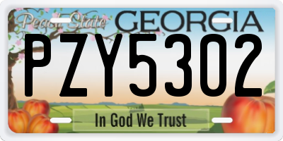 GA license plate PZY5302