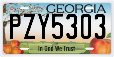 GA license plate PZY5303
