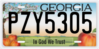 GA license plate PZY5305