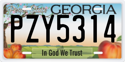 GA license plate PZY5314