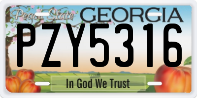 GA license plate PZY5316