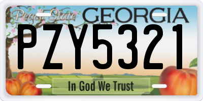 GA license plate PZY5321