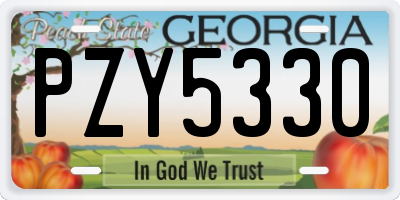 GA license plate PZY5330