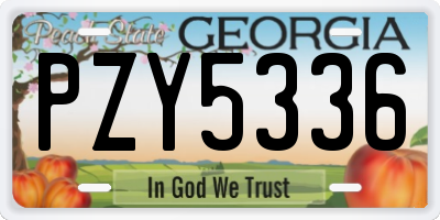 GA license plate PZY5336
