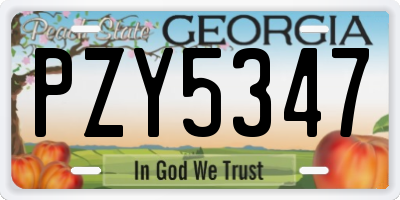 GA license plate PZY5347